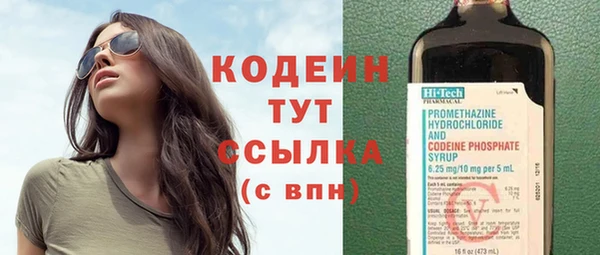 ГАЛЛЮЦИНОГЕННЫЕ ГРИБЫ Дмитриев