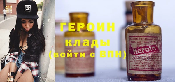 ГАЛЛЮЦИНОГЕННЫЕ ГРИБЫ Дмитриев