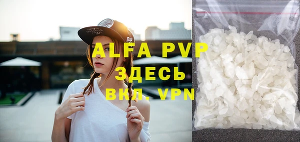 ГАЛЛЮЦИНОГЕННЫЕ ГРИБЫ Дмитриев