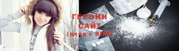 ГАЛЛЮЦИНОГЕННЫЕ ГРИБЫ Дмитриев