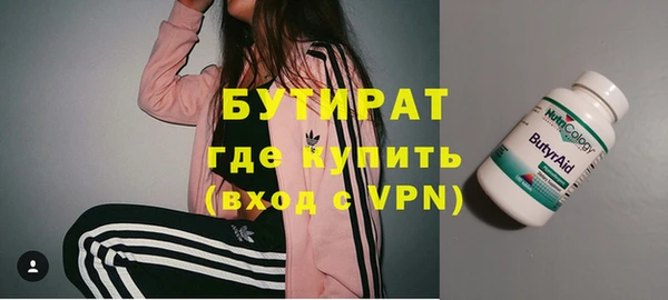 ГАЛЛЮЦИНОГЕННЫЕ ГРИБЫ Дмитриев