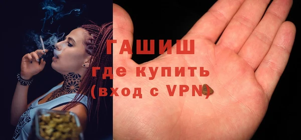 ГАЛЛЮЦИНОГЕННЫЕ ГРИБЫ Дмитриев