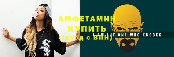 ГАЛЛЮЦИНОГЕННЫЕ ГРИБЫ Дмитриев