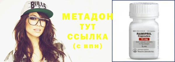 ГАЛЛЮЦИНОГЕННЫЕ ГРИБЫ Дмитриев