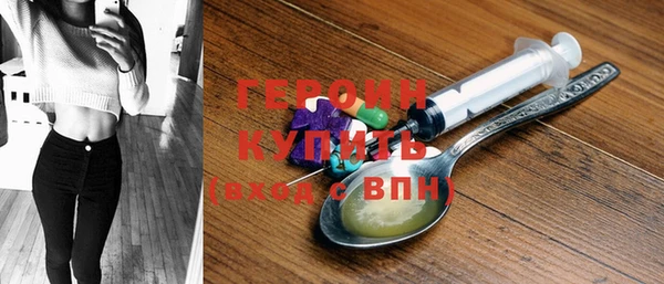 ГАЛЛЮЦИНОГЕННЫЕ ГРИБЫ Дмитриев