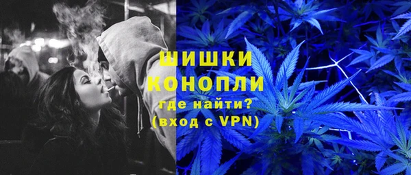ГАЛЛЮЦИНОГЕННЫЕ ГРИБЫ Дмитриев