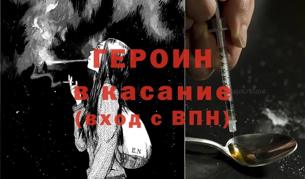 ГАЛЛЮЦИНОГЕННЫЕ ГРИБЫ Дмитриев