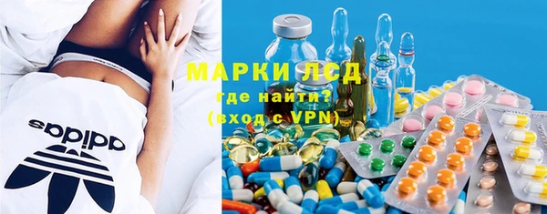 ГАЛЛЮЦИНОГЕННЫЕ ГРИБЫ Дмитриев