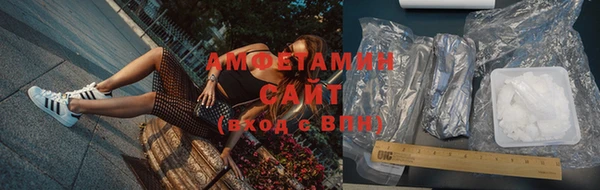 ГАЛЛЮЦИНОГЕННЫЕ ГРИБЫ Дмитриев